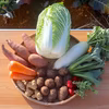 【農薬・化学肥料不使用】冬野菜セット＜7〜9品目＞