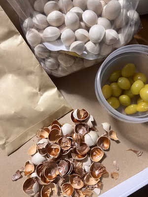 みんなの投稿の画像