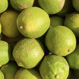 送料無料【訳ありだけど美味しさそのまま】グリーンレモン 防腐剤・ワックス不使用