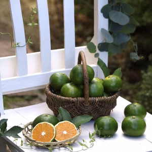 風のいたずらみかん・肥のあかり（極早生みかん）　5キロ