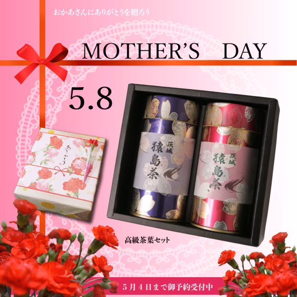 【母の日ギフト】ブラックアーチ農法使用茶葉100gｘ2本入り ありがとうを贈ろう
