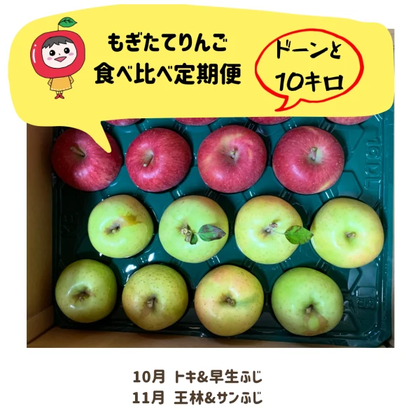 10月11月もぎたてりんご食べ比べ定期ボックス