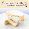 【送料無料】職人が心を込めて限定生産。カマンベールとブルーチーズの贅沢な出会い