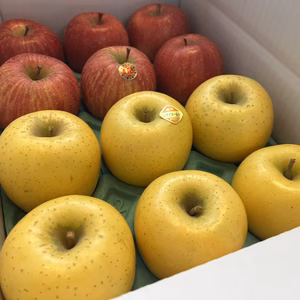 【家庭用】 サンふじ＆シナノゴールドの詰め合わせセット 小玉 約3kg