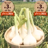 青森県産！ホワイト６片「白玉王」の掘りたて生にんにく【６月後半頃から発送】