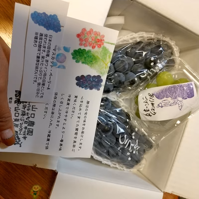 みんなの投稿の画像