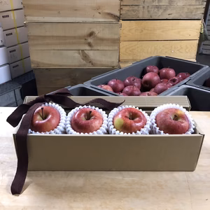 光るりんご　蜜がたっぷりこうとく『こうとく』ギフトＢＯＸ　小玉４個入り