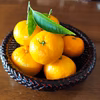 愛媛みかん　もぎたてフレシュ!! 島便り~~♪