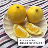 ゴールデンサマー！黄金柑とニューサマーのセット【農薬不使用】