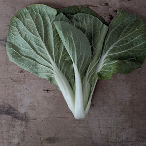 【栽培期間中農薬不使用】山東菜