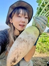 [信州産]元気いっぱい！旬野菜の玉手箱