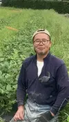 【送料無料】第一弾！静岡県の野菜が“ギュッ！“と詰まったポケマルベジカレー