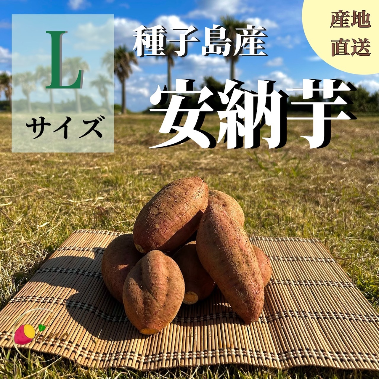 絶品】種子島産 安納芋 Lサイズ｜aimo農園｜さつまいもの商品詳細