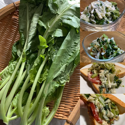 みんなの投稿の画像