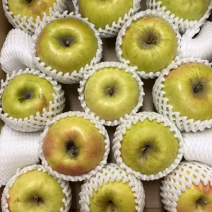 青森県産りんご ぐんま名月 家庭用 キズ有 フルーツキャップ 光センサ 5kg~