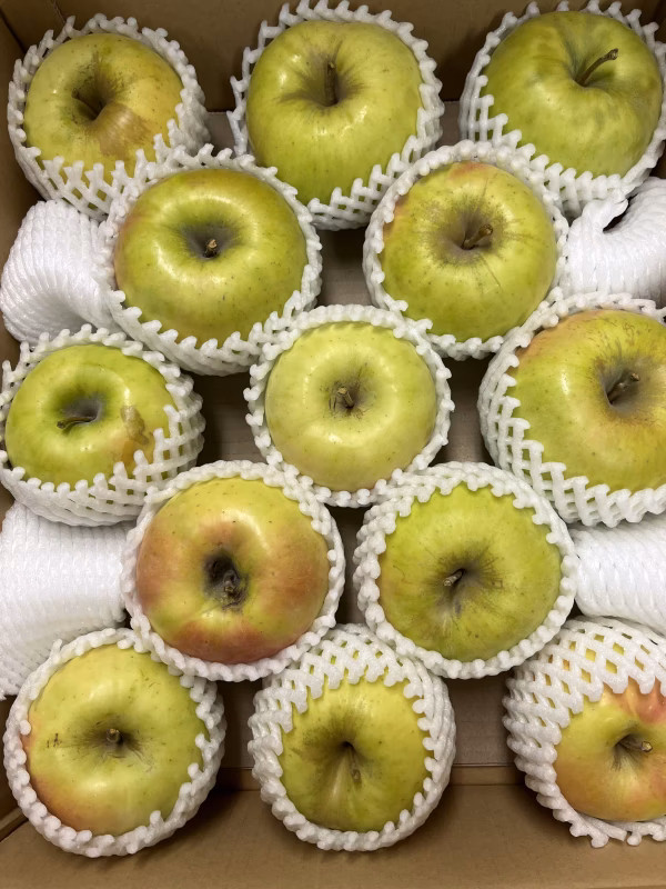 青森県産りんご ぐんま名月 家庭用 キズ有 フルーツキャップ 光センサ 5kg~