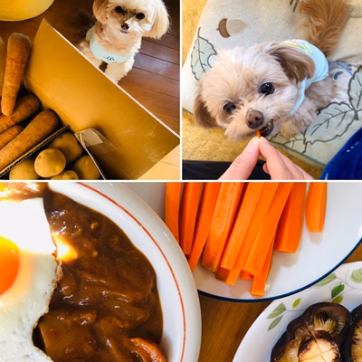 みんなの投稿の画像