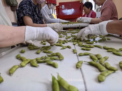 みんなの投稿の画像