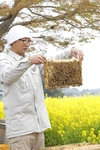 砂糖不使用　純粋はちみつ百花250g  越冬前の濃厚な味わい