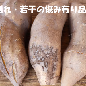 値下げ断行、スーパーフード「ヤーコン」訳あり品(箱重量込みで）