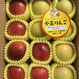 まるごとガブリっ！奥州ロマン入り☆小玉・食べきりサイズMIXりんご岩手江刺産