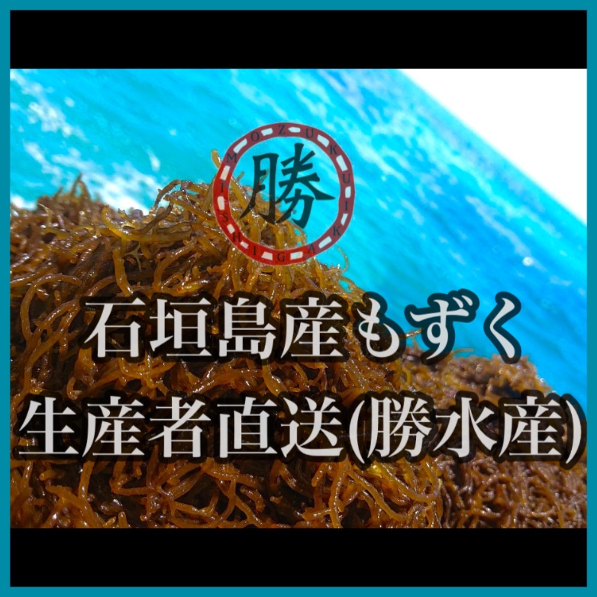 沖縄県石垣島産もずく【塩漬け1kg】大サイズ｜水産加工品の商品詳細