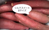 ちょっとちびサイズだけどしっとり甘い‼︎「シルクスイート」 2キロ