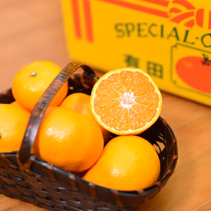 ★濃厚なコクと酸味がおいしい！有田みかん★自家製堆肥栽培★早生★和歌山★11月発