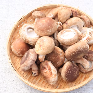 個性が爆発する！【ちょいワル椎茸】