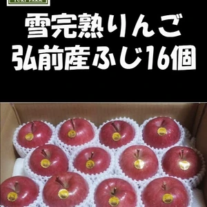 蜜入り雪完熟りんご弘前産サンふじ１６個入り「約５kg」