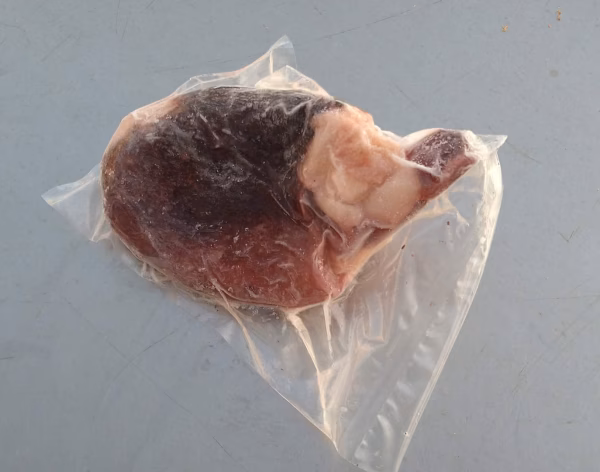 【浜茹で】タコの頭 0.4kg〜0.5kg 3パックセット