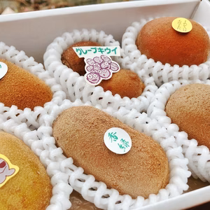 【お試しキウイセット】 農家がおすすめした限定の５品種以上のセットS5