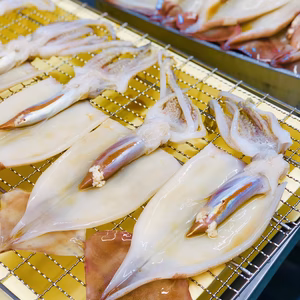 肝ごとスルメイカの自家製魚醤干し　大きな3枚セット〜　アジ干しおまけ付