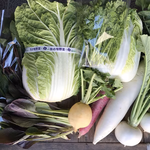 京の旬野菜おまかせセット【漢方栽培】