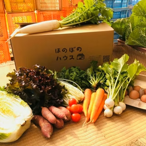 こどもの味覚を育む野菜セットM （野菜8種、卵10個）