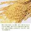 おいしいつや姫+はえぬき2kgx各1袋 食べ比べ 特別栽培米 令和6年山形産