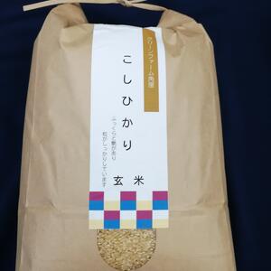 【令和元年産】　毎日おいしく無肥料特別栽培コシヒカリ玄米
