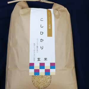 【令和２年産】　毎日おいしく無肥料特別栽培コシヒカリ玄米