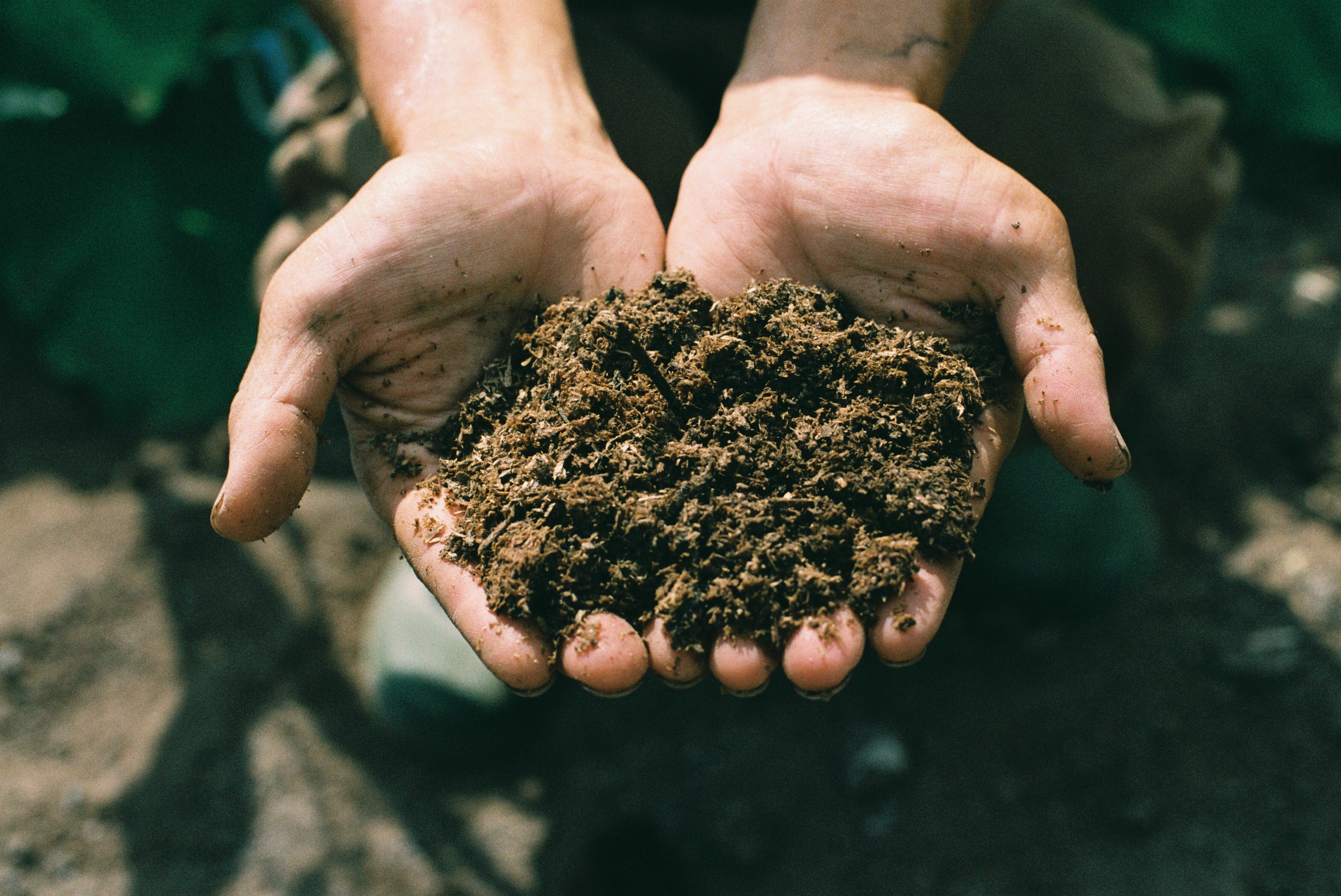 滋賀県高島市｜zund耕園（ずんどこうえん）｜小野原 亨さんの生産者
