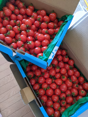 みんなの投稿の画像