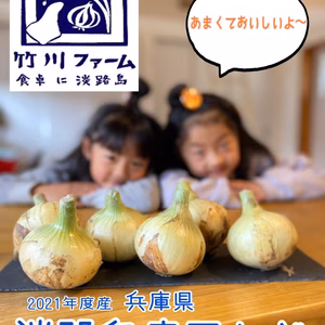 淡路島玉ねぎ 令和3年　産最高品種 ターザン　10キロ Lサイズ