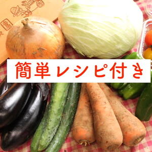 夏【レシピ付】あるまま農園・無農薬野菜セット＜Mサイズ＞7品