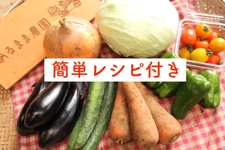【レシピ付】あるまま農園・無農薬野菜セット＜Mサイズ＞5〜7品