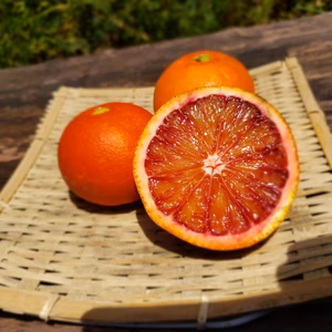 あと少し　訳あり濃厚ブラッドオレンジ