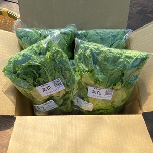 ≪予約販売≫☆有機JAS認証☆菜花100g×20袋セット【約2㎏】