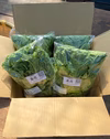 ≪予約販売≫☆有機JAS認証☆菜花約2㎏【2月発送予定】