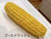 ＊朝採り直送ヤングコーン＊