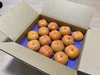 【11月発送】敷地次郎柿（多少キズあり）14個入（約3.5kg）