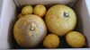無農薬自然栽培の完熟晩白柚(外皮に傷ありますが中身に影響なし)とおまけ付き。