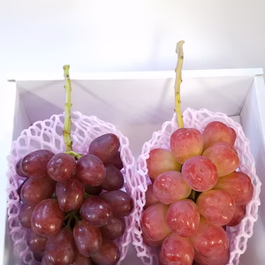 極希少品種　『クイーンルージュ®️』&『真沙果』豪華２房セット